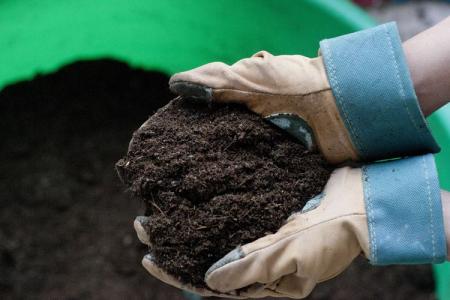 Comment et comment désinfecter le sol avant la plantation