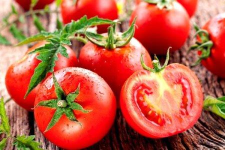 Les meilleures variétés de tomates en pleine terre : photos, noms et descriptions (catalogue)
