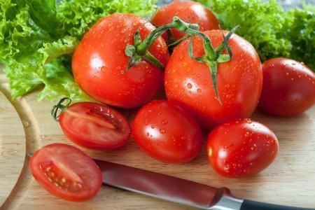 Top 20 des variétés de tomates tolérantes à la chaleur et à la sécheresse