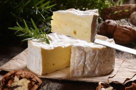 Variétés et types de fromages à pâte molle : noms, photos et descriptions