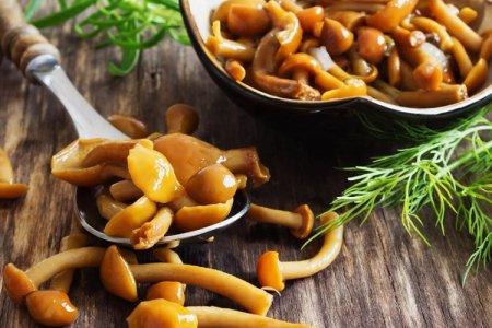 20 délicieuses recettes de champignons marinés