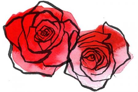 Comment dessiner une belle rose : 7 manières simples (étape par étape)