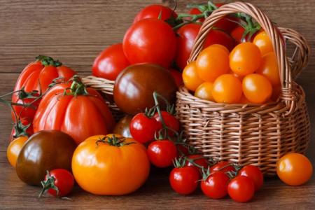 Les meilleures variétés de tomates pour la région de Moscou: photos, noms et descriptions (catalogue)