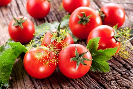 Les meilleures variétés de tomates pour serres: photos, noms et descriptions (catalogue)